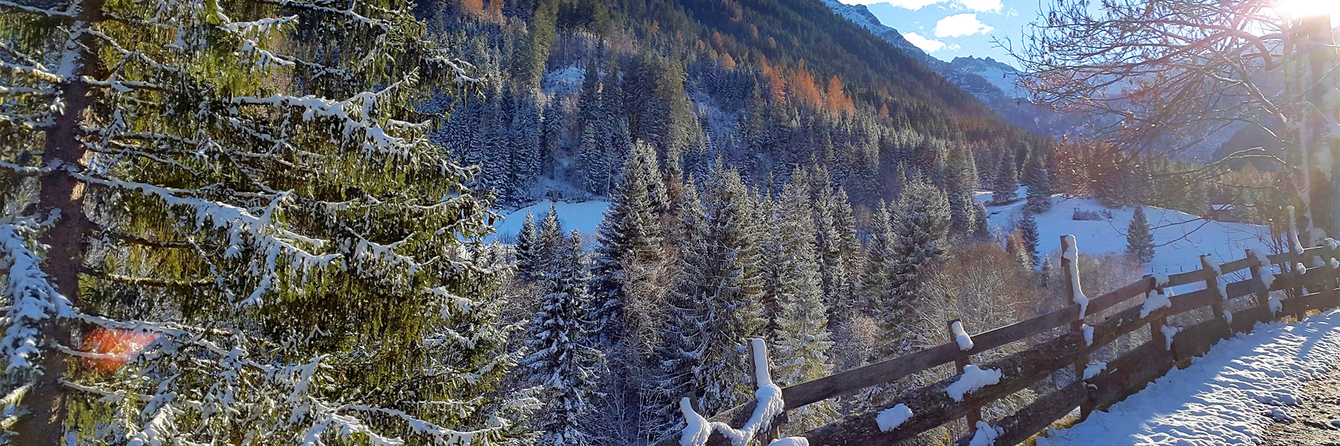 Winter im Lesachtal
