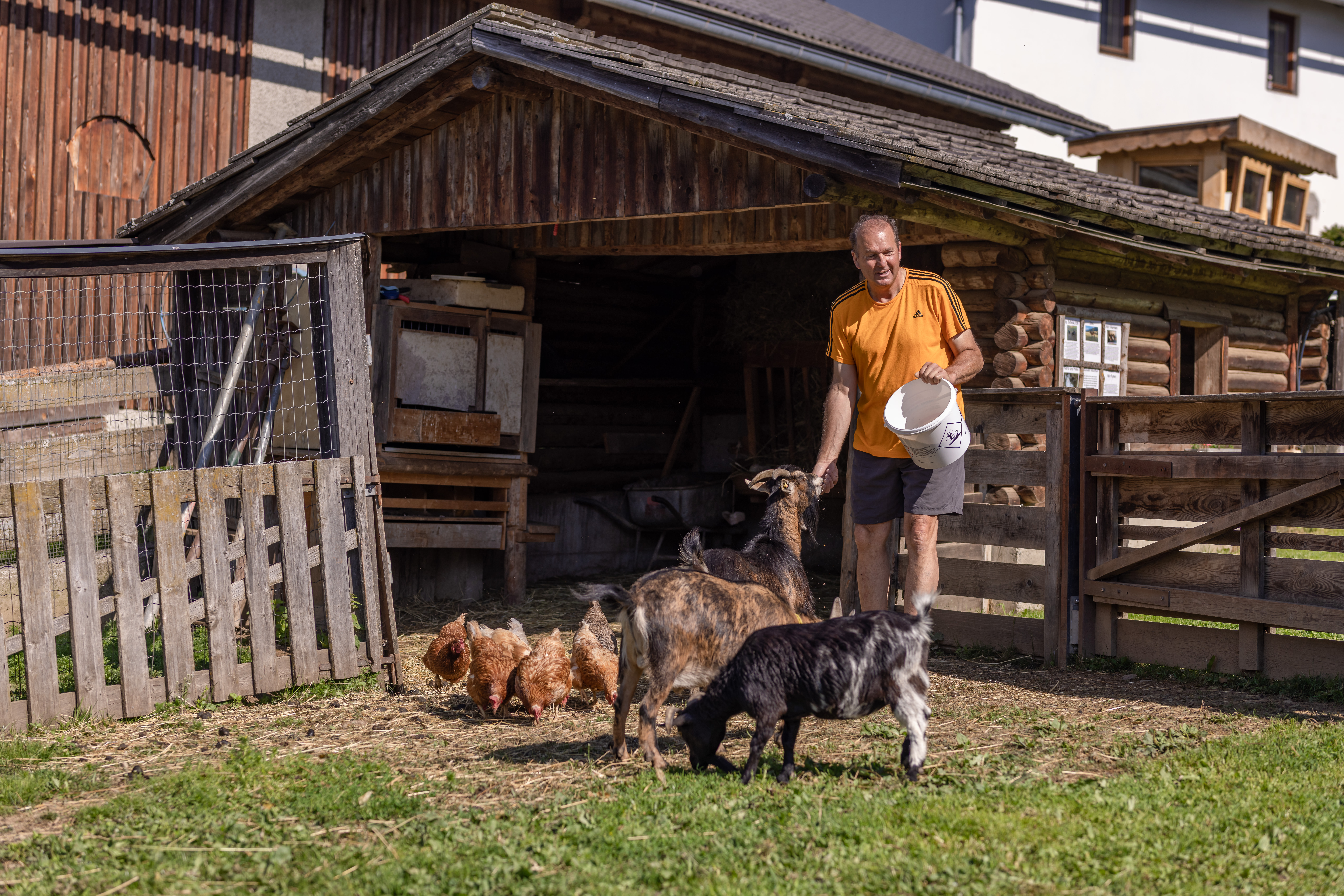 Bauernhof Gruber Hoferlebnisse