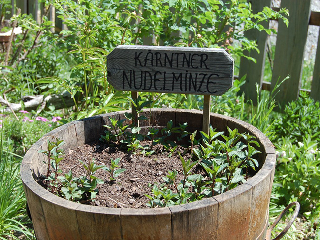 Kräutergarten Lesachtal 