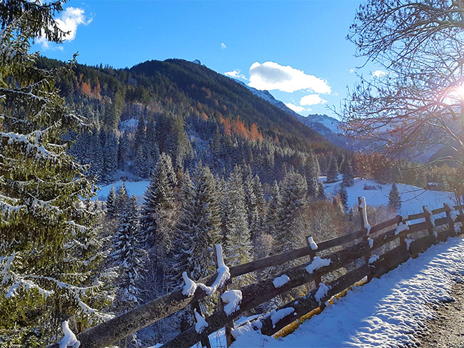 Urlaub am Bauernhof - Winter